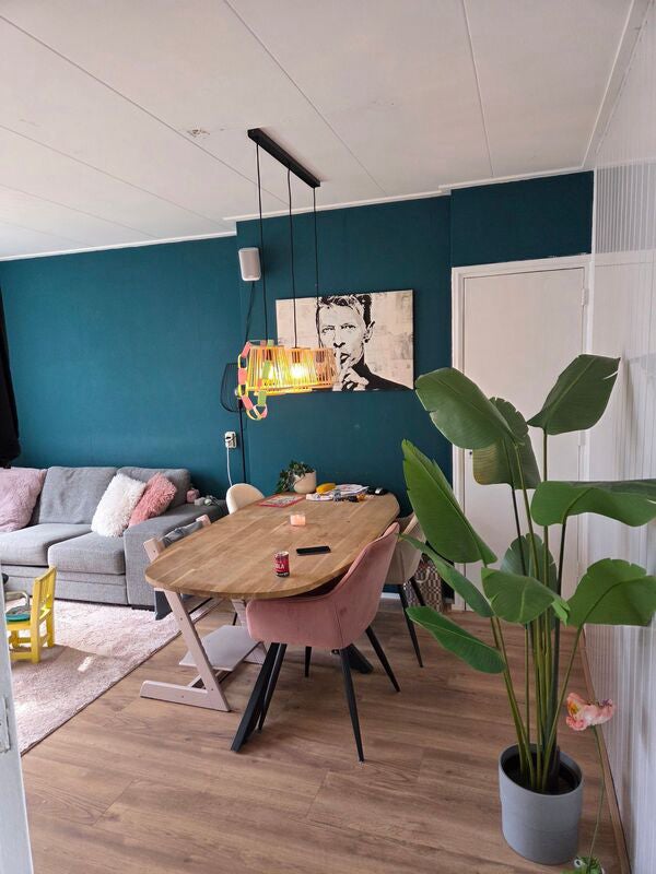 For rent: Apeldoorn / €738 p.m. / 53m2