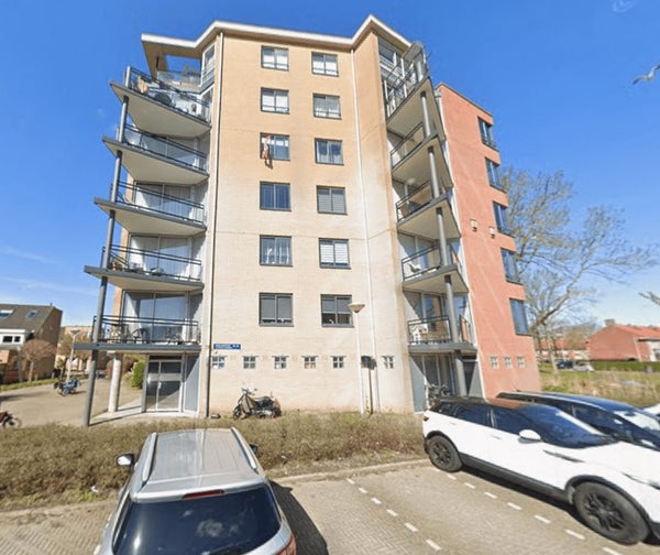For rent: Amsterdam
