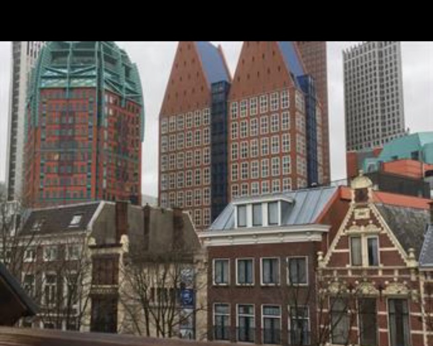 For rent: Den Haag / €795 p.m. / 14m2