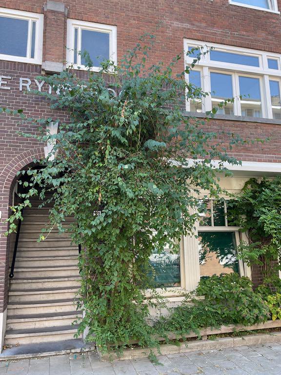 Te huur: Amsterdam
