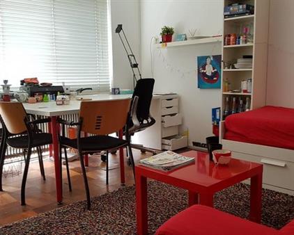 For rent: Groningen / €550.00 p.m. / 17.00m2