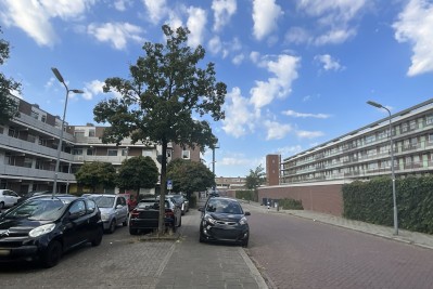 Te huur: Den Bosch