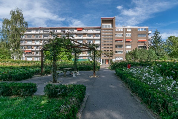 For rent: Heerlen / €590.00 p.m. / 40.00m2