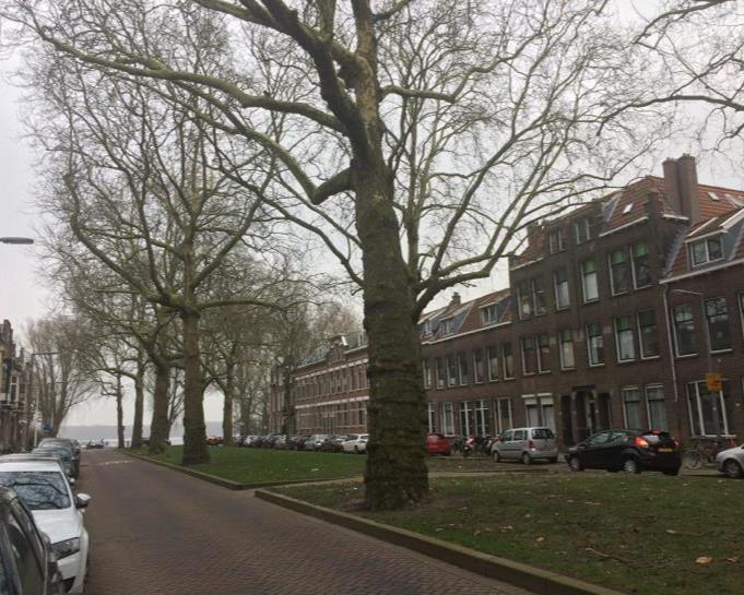 Te huur: Rotterdam