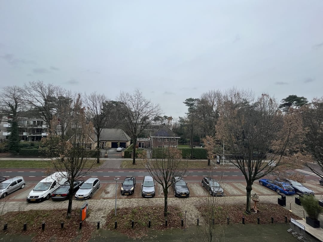 Te huur: Den Dolder