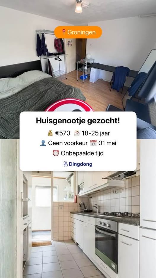 For rent: Groningen / €570.00 p.m. / 12.00m2