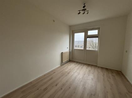 For rent: Groningen / €664.00 p.m. / 18.00m2