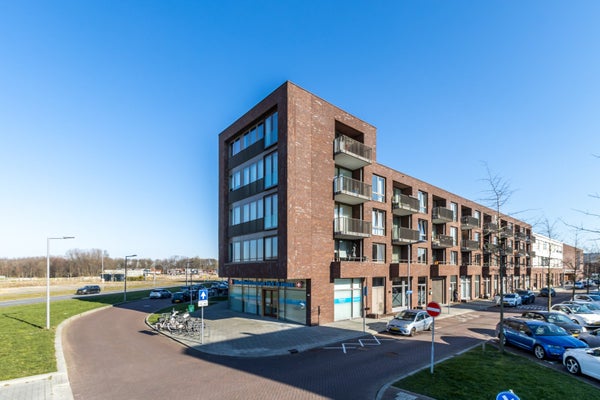 For rent: Rotterdam