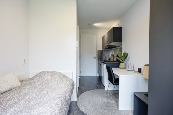 For rent: Maastricht