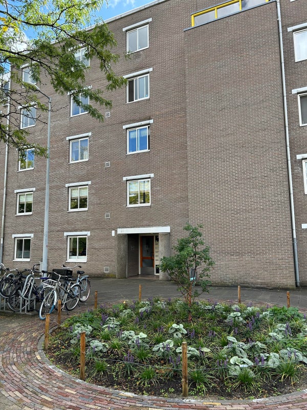 For rent: Amsterdam