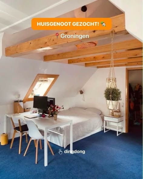Te huur: Groningen