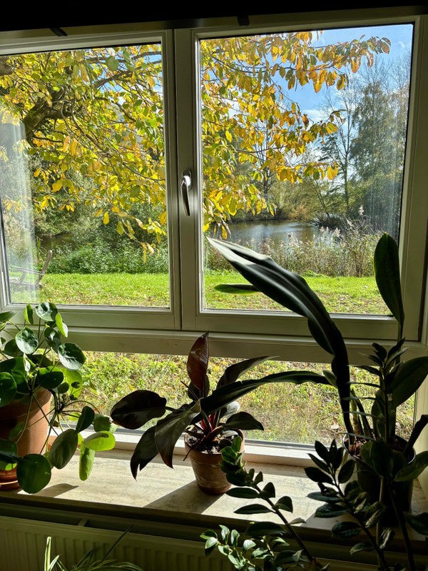 Te huur: Amsterdam