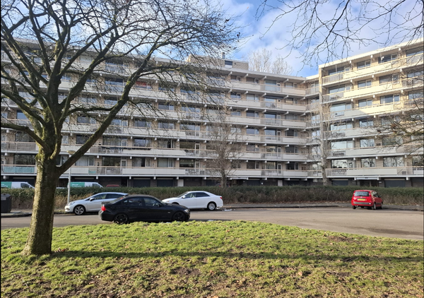 For rent: Groningen