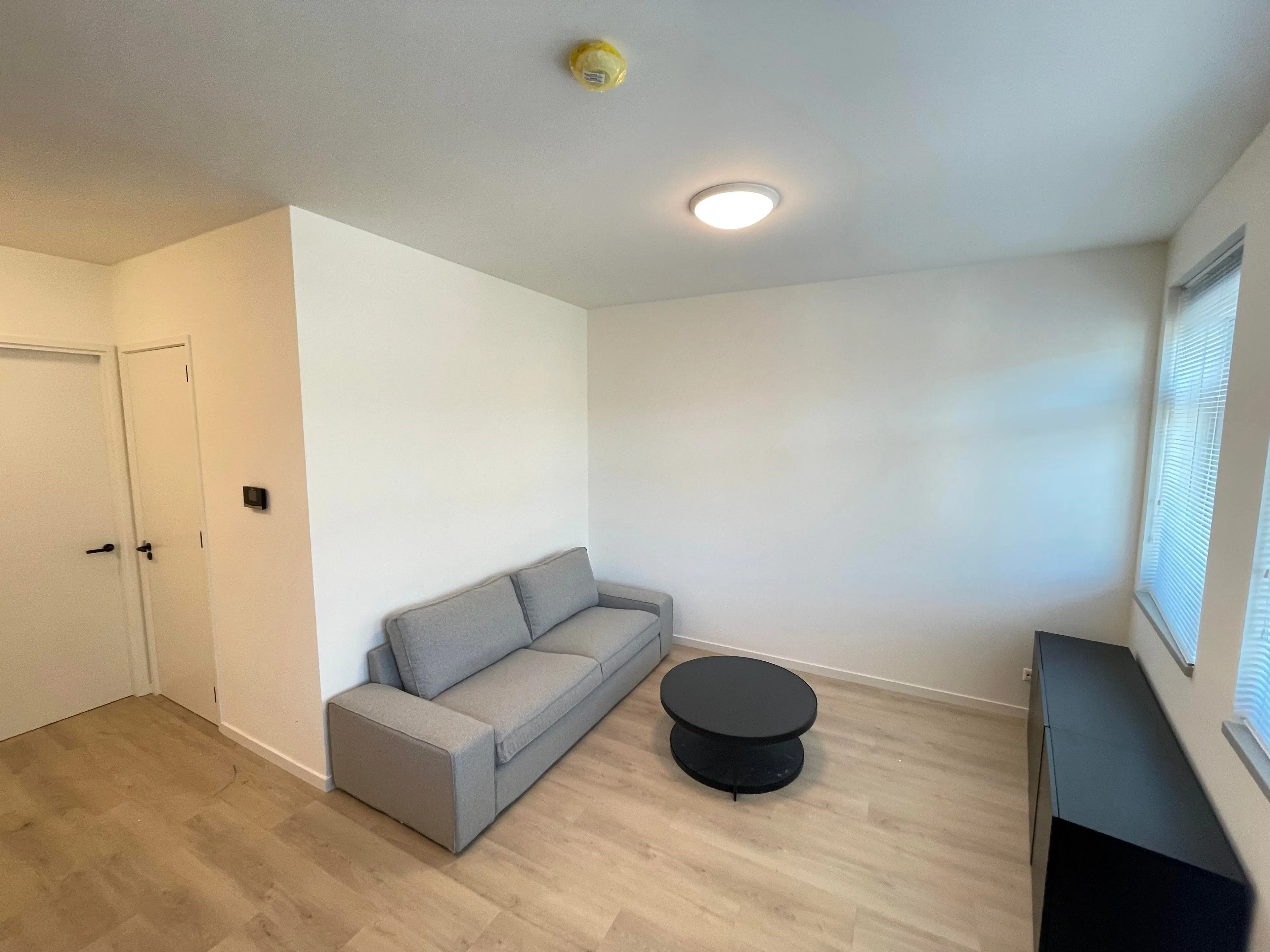 For rent: Haarlem
