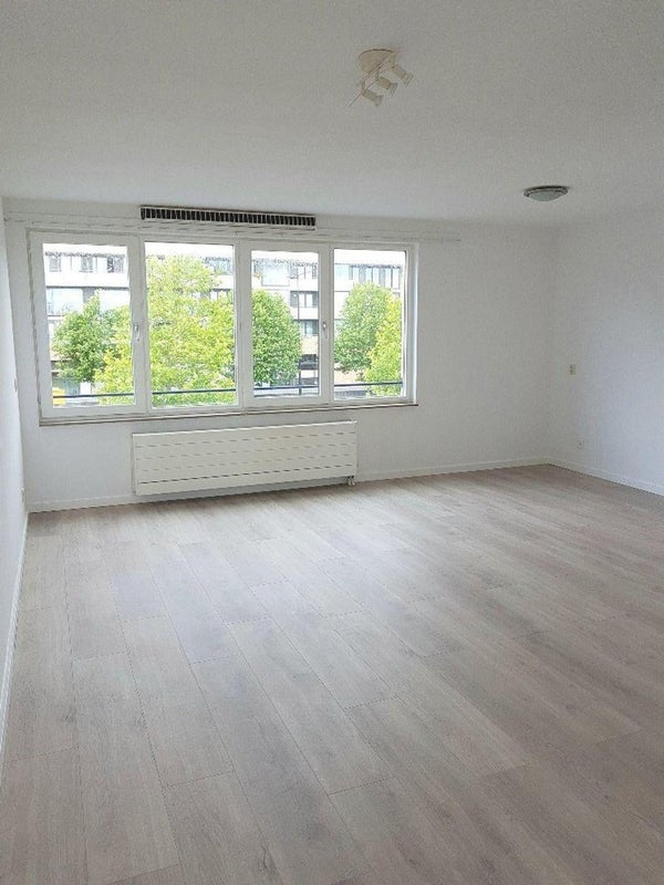 For rent: Amsterdam