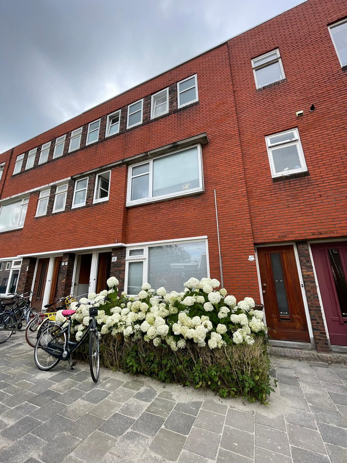 Te huur: Groningen