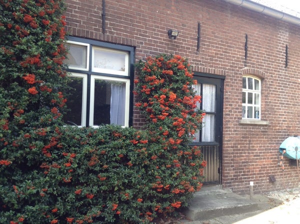 Te huur: Deil / €810,00 p.m. / 40,00m2