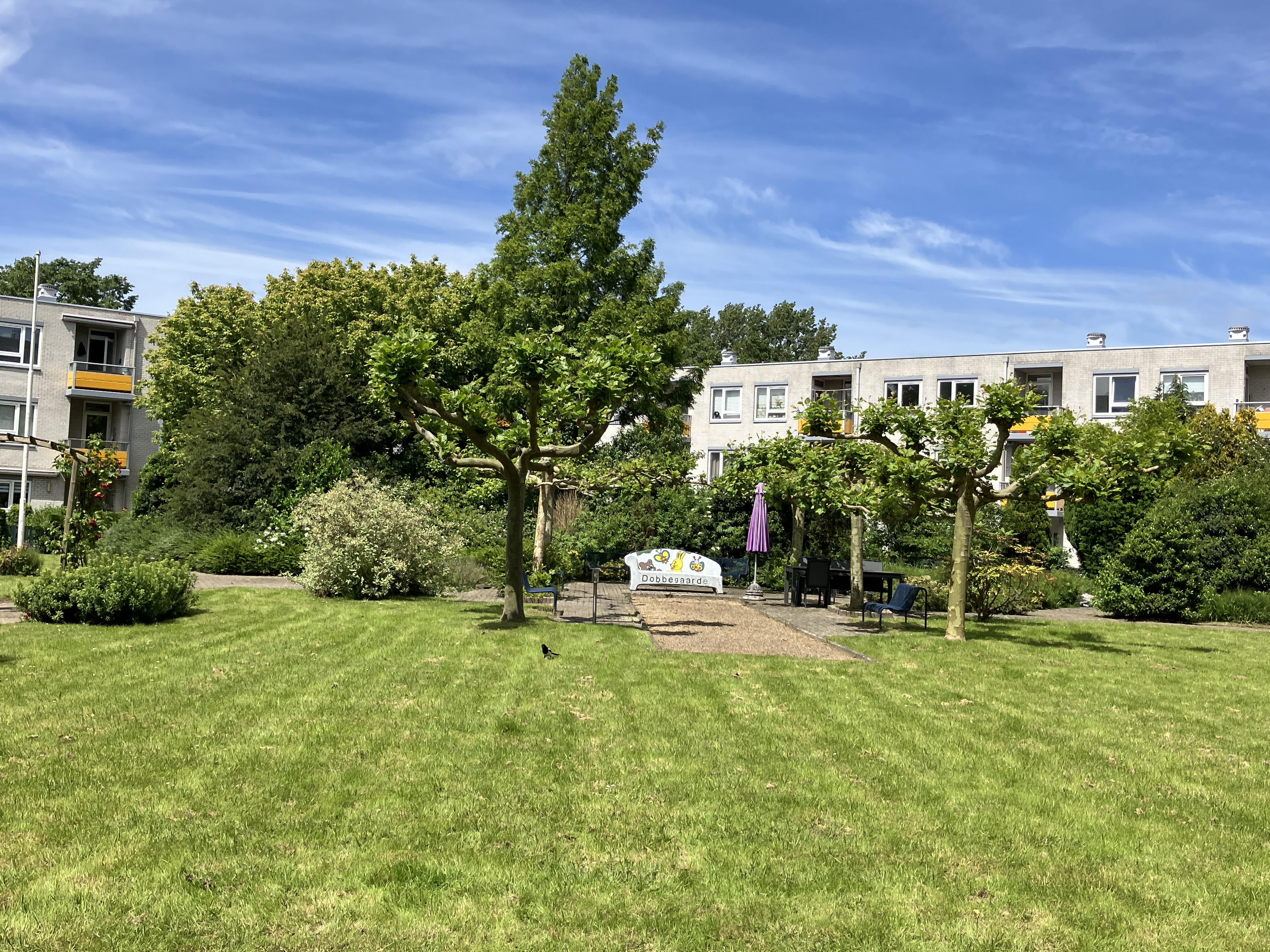 For rent: Leiden