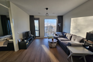 For rent: Groningen