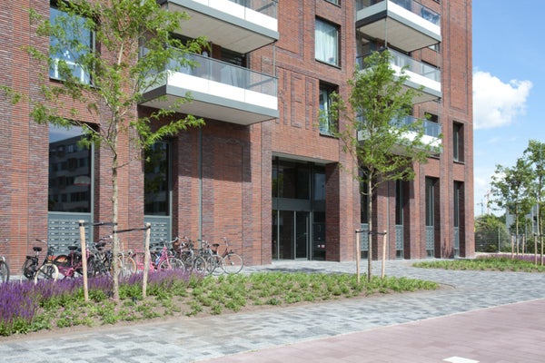 For rent: Amsterdam