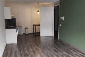 For rent: Assen / €1148.00 p.m. / 58.00m2