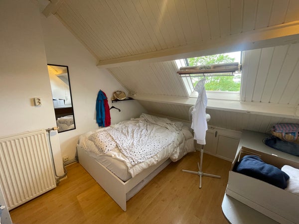 For rent: Groningen