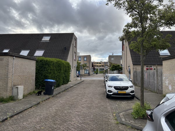For rent: Leiden