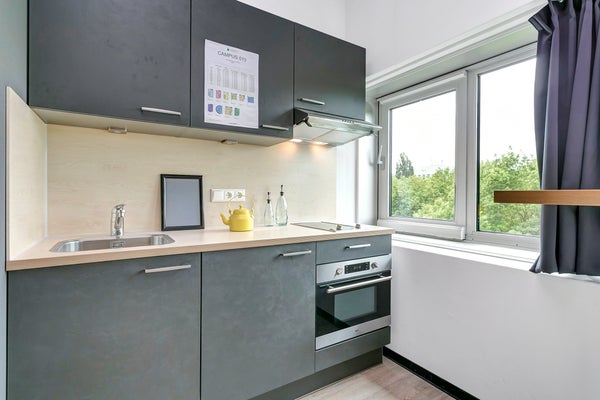 For rent: Delft