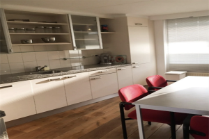 Te huur: Hoofddorp