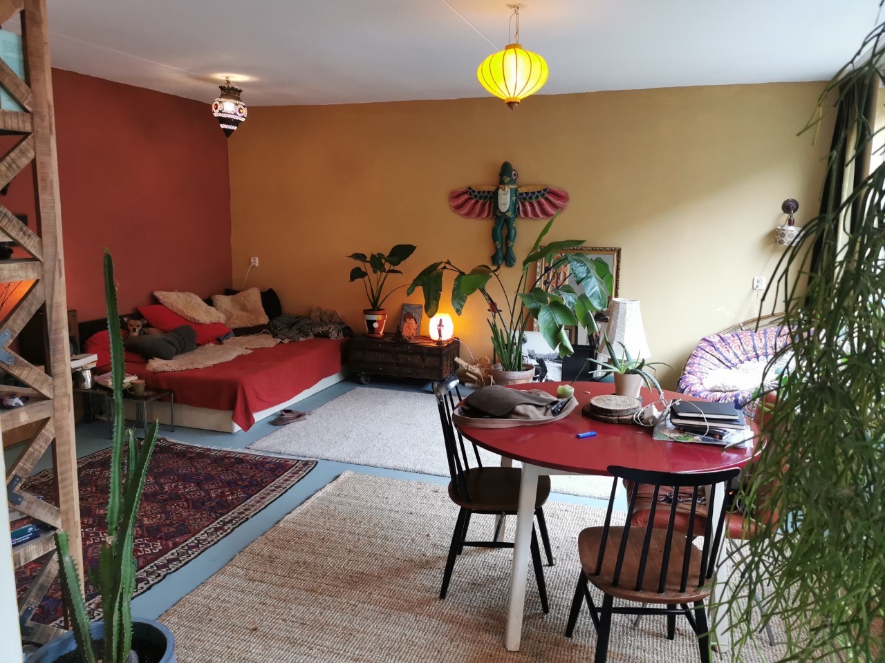 For rent: Amsterdam