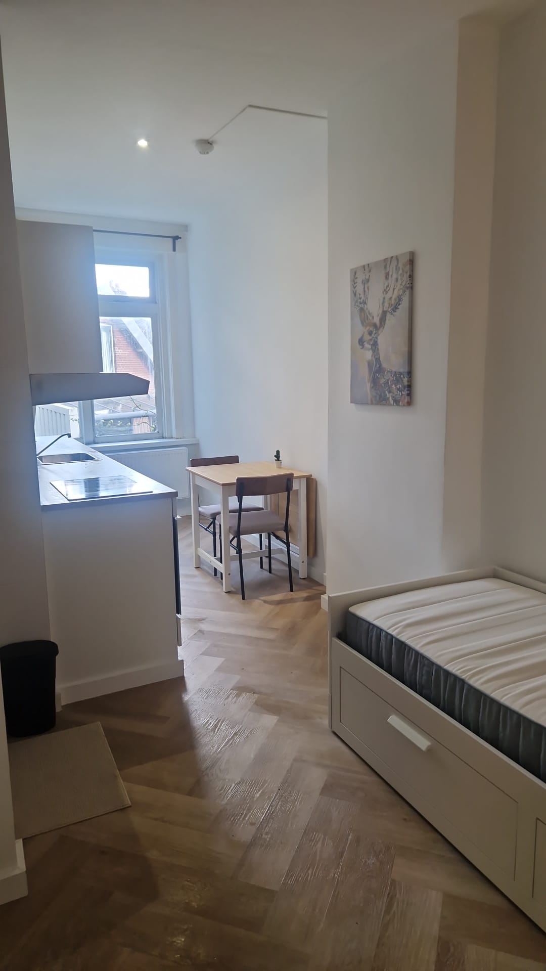 For rent: Rotterdam