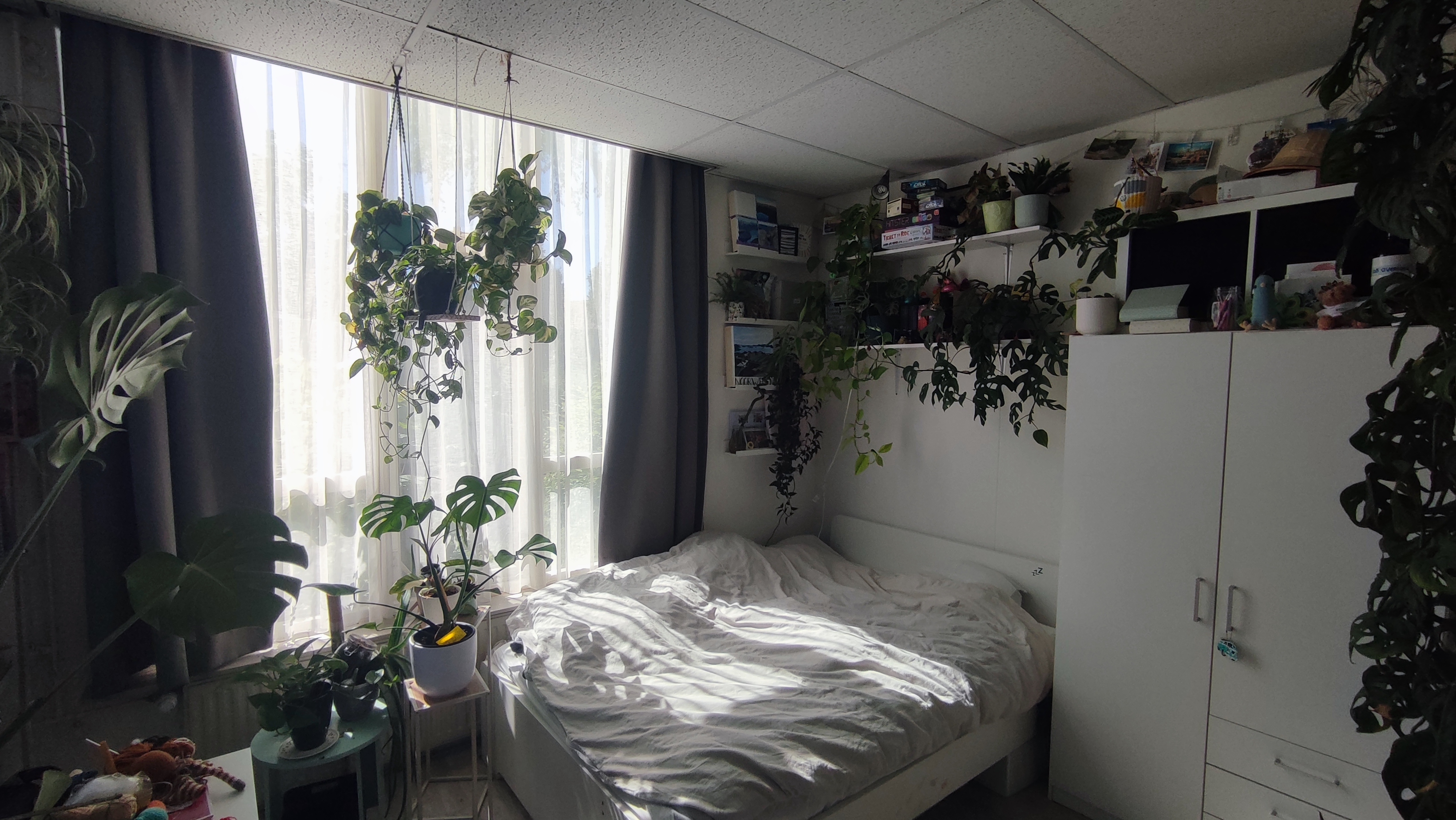 For rent: Enschede / €323.00 p.m. / 15.00m2