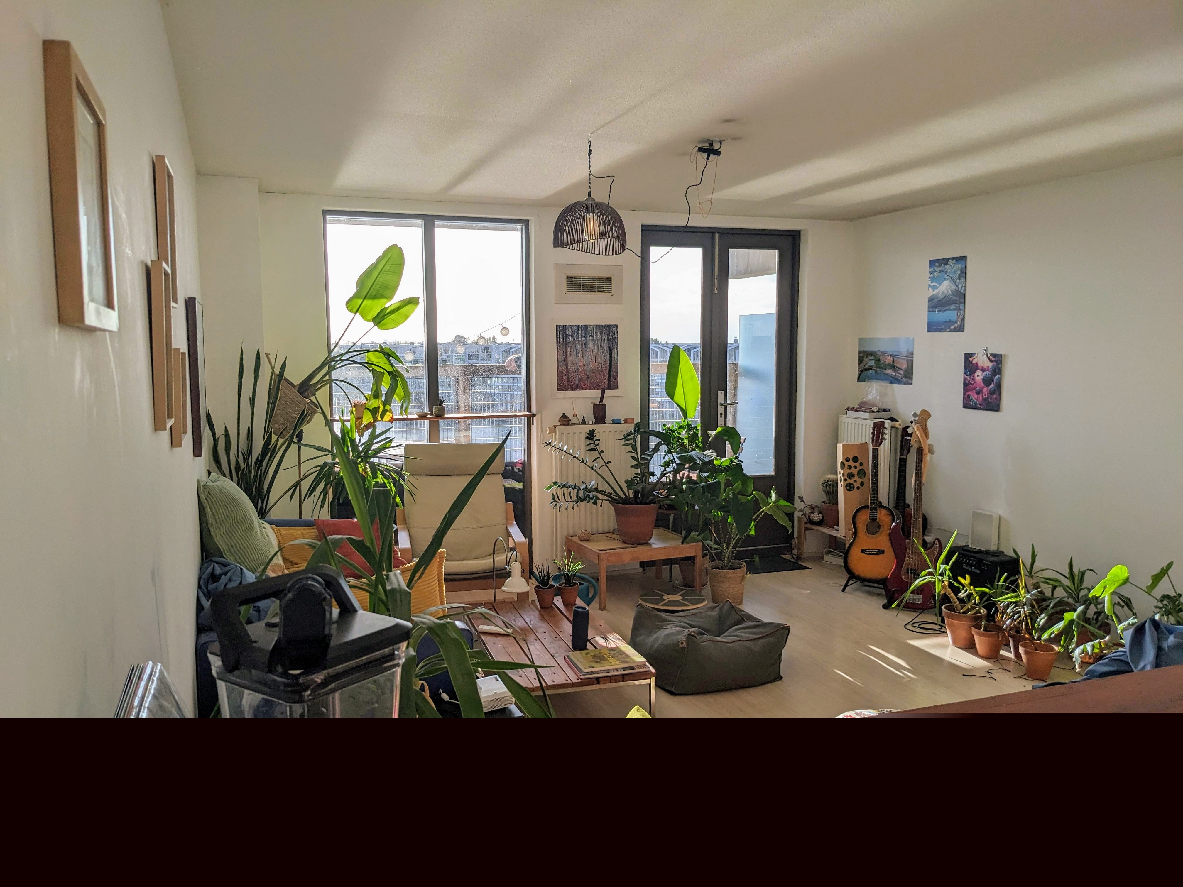 For rent: Amsterdam