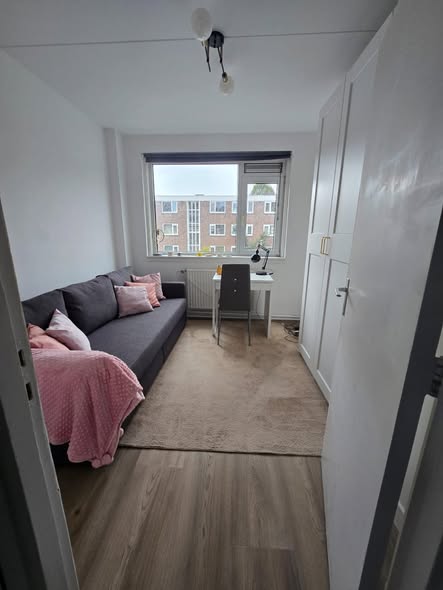 For rent: Amsterdam