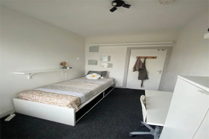 For rent: Zwolle