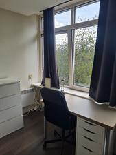 For rent: Arnhem / €600.00 p.m. / 15.00m2