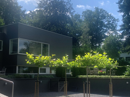 For rent: Arnhem