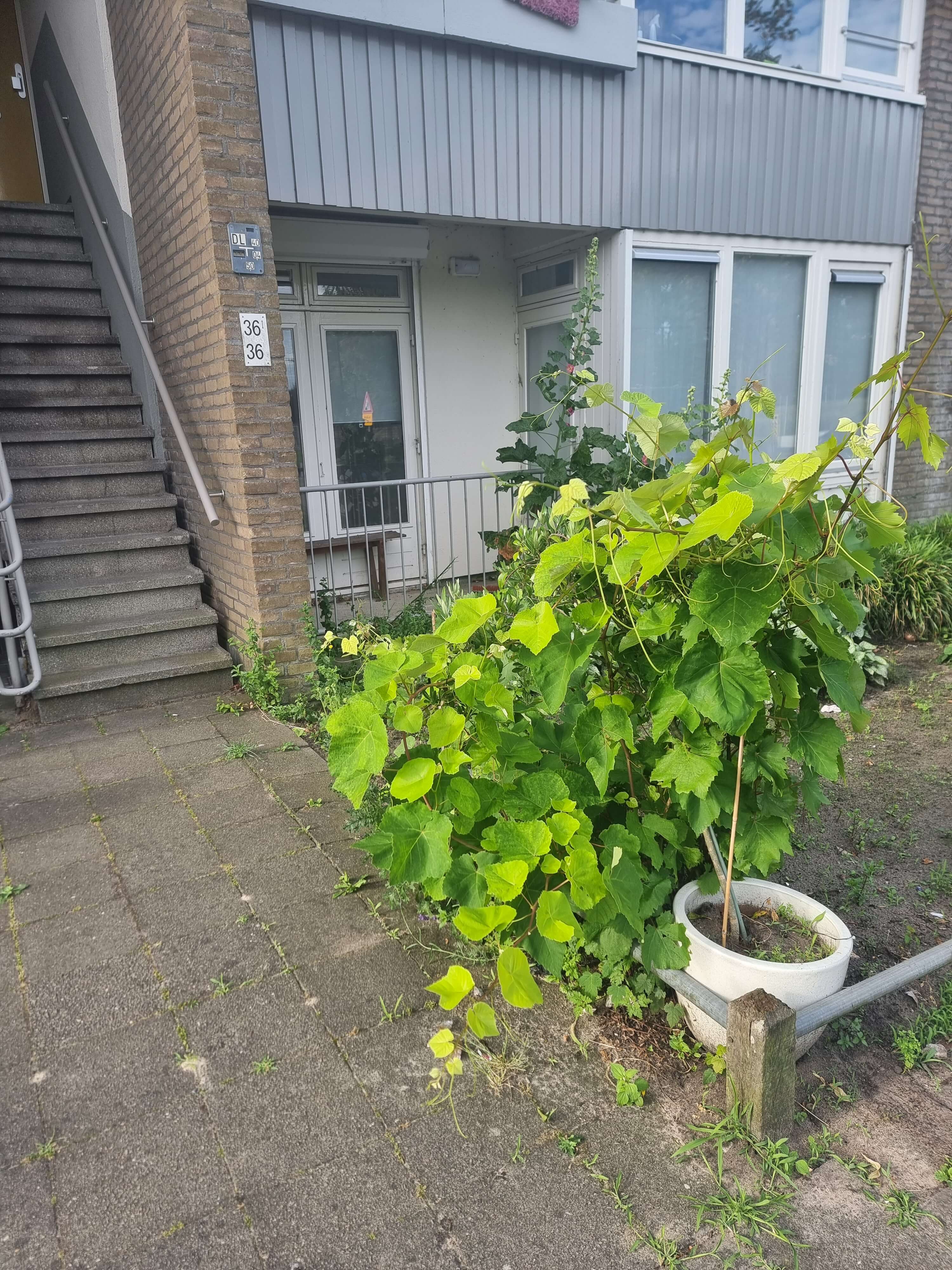 Te huur: Utrecht / €805,00 p.m. / 47,00m2