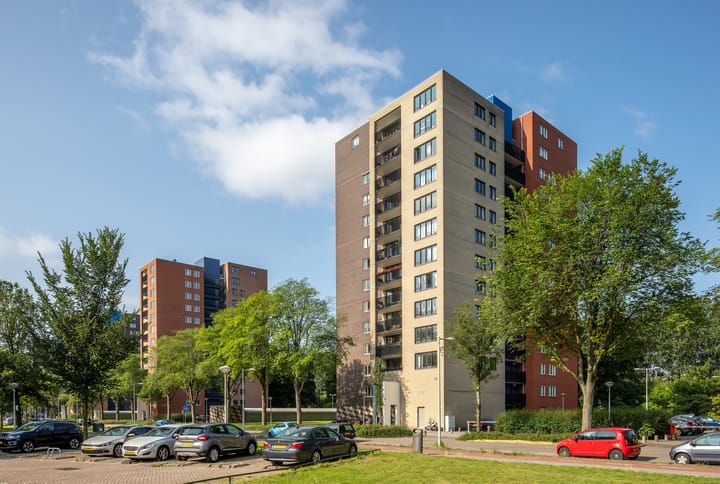 For rent: Amsterdam