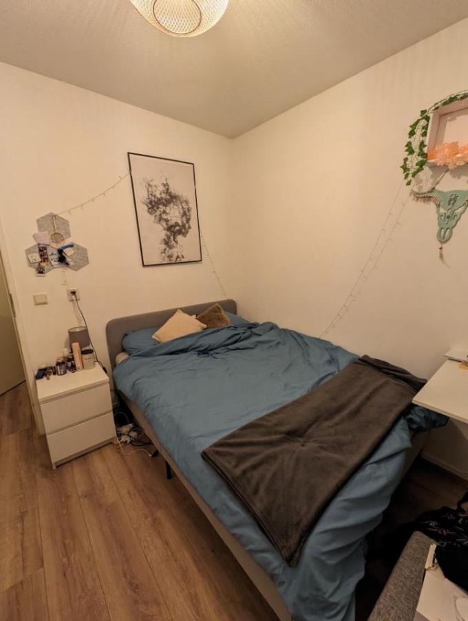 For rent: Amsterdam