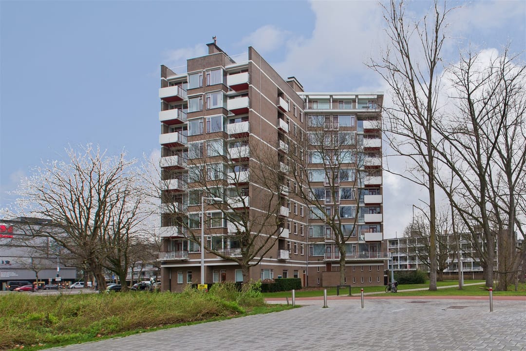 For rent: Amsterdam