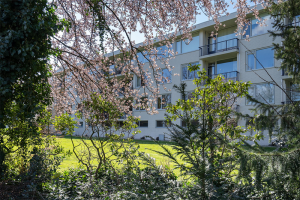 For rent: Eindhoven / €1850.00 p.m. / 80.00m2