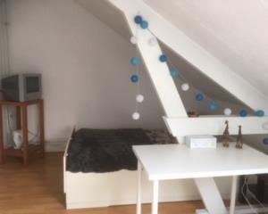 Te huur: Amsterdam / €450,00 p.m. / 15,00m2