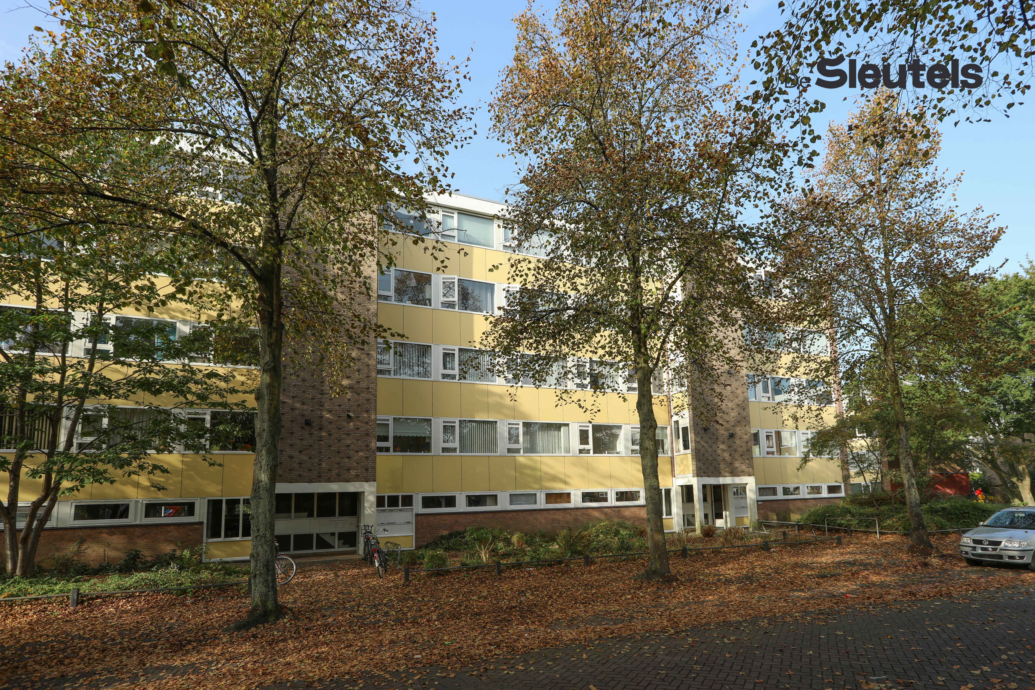 Te huur: Leiden