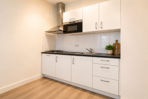For rent: Rotterdam