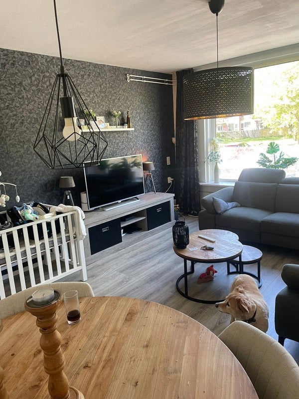 For rent: Meppel / €478 p.m. / 60m2