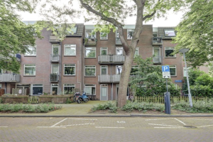 Te huur: Rotterdam