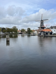 For rent: Haarlem