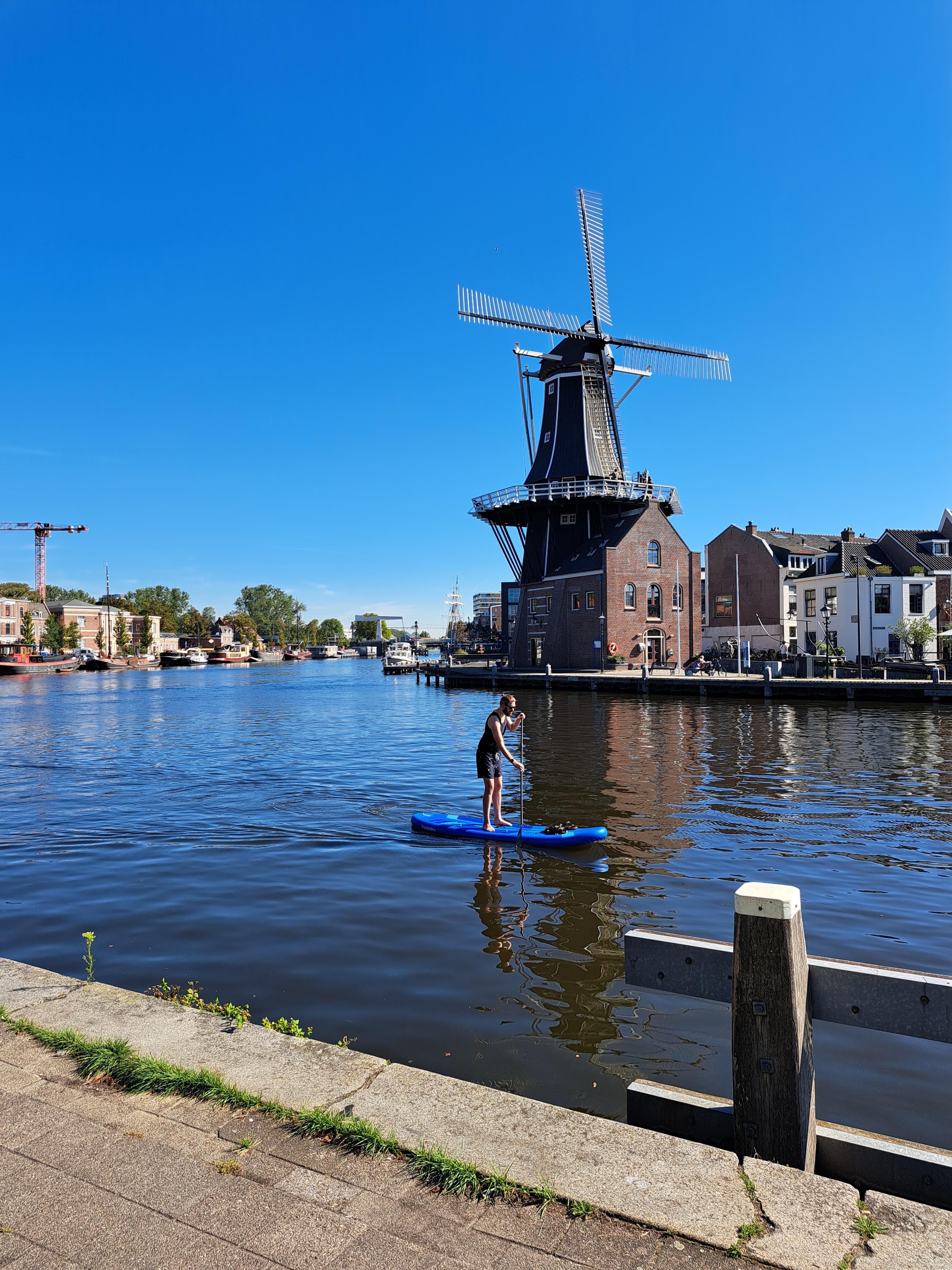 For rent: Haarlem