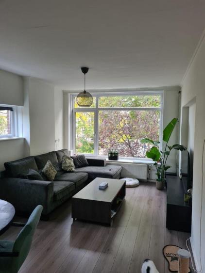 Te huur: Rotterdam / €800,00 p.m. / 10,00m2